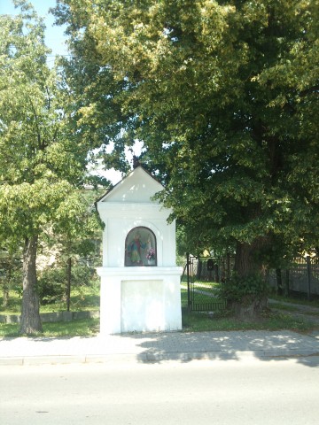 168513817.jpg