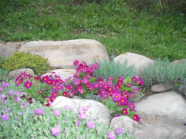 750509390.jpg