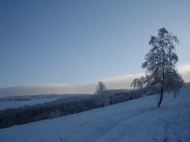 DSC02052.jpg
