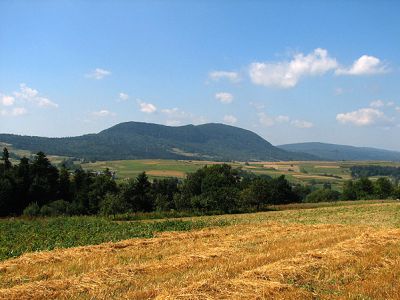 979440059.jpg