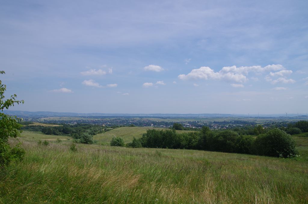 IMGP2322.jpg