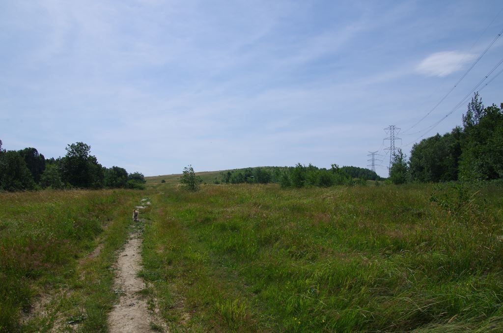 IMGP2326.jpg