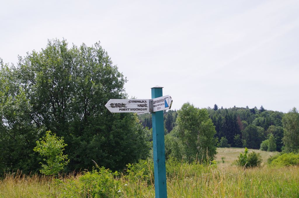 IMGP2335.jpg
