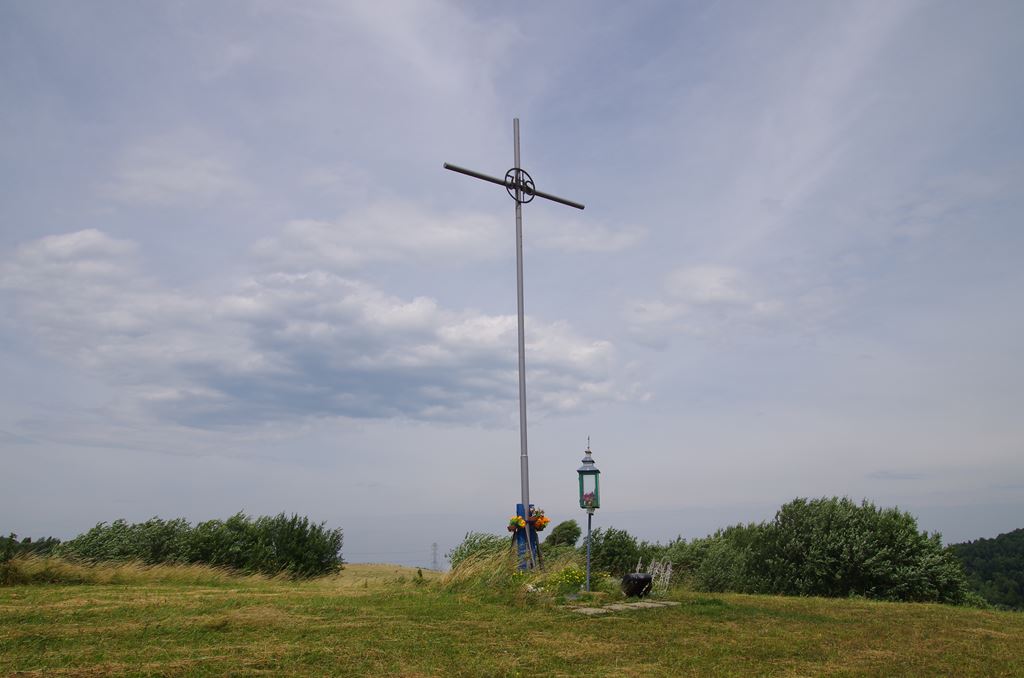 IMGP2338.jpg