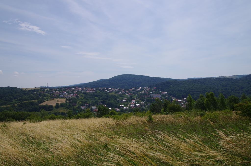 IMGP2340.jpg