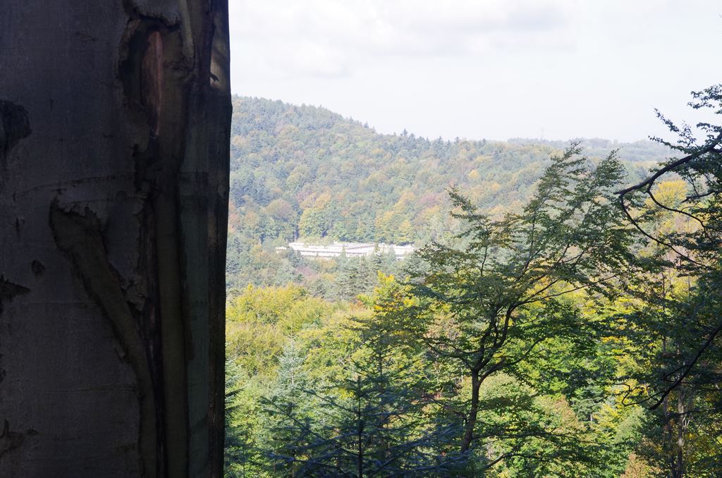 IMGP3570.jpg