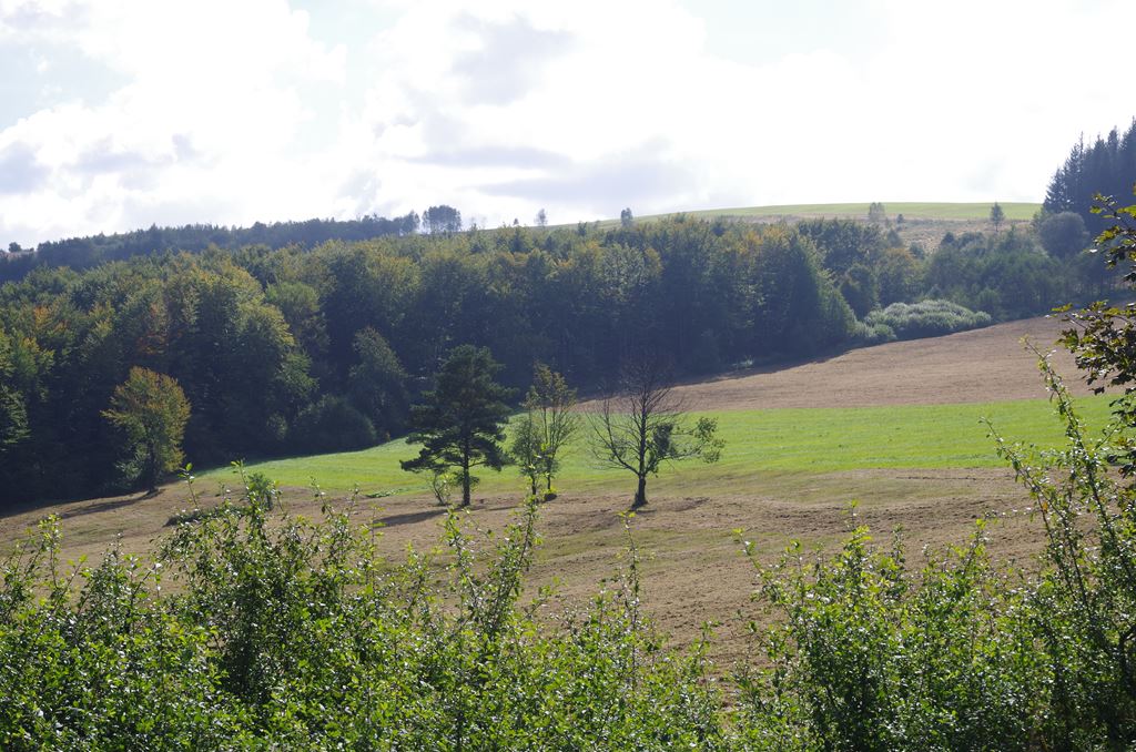 IMGP3576.jpg