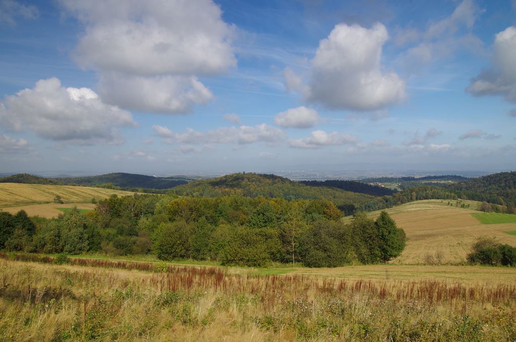 IMGP3593.jpg