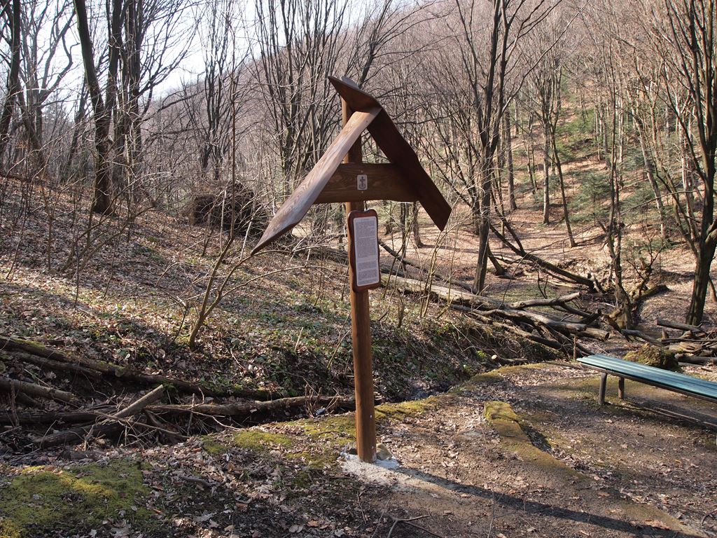 P1010670.jpg