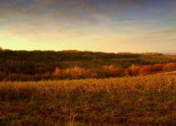 1. W drodze do pomnika w lesie Grabińskim 1. W drodze do pomnika w lesie Grabińskim