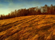 2. Złota jesteń w Iwoniczu 2. Złota jesteń w Iwoniczu