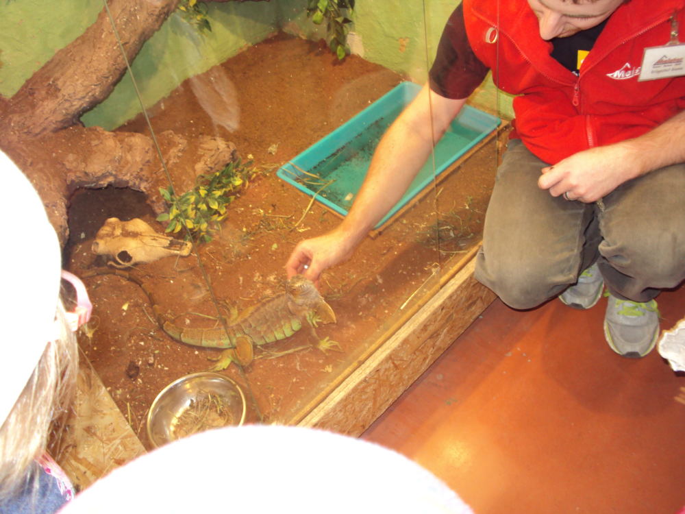 DSC05427-2.jpg