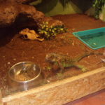 DSC05459 1