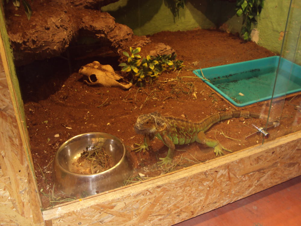 DSC05459-1.jpg