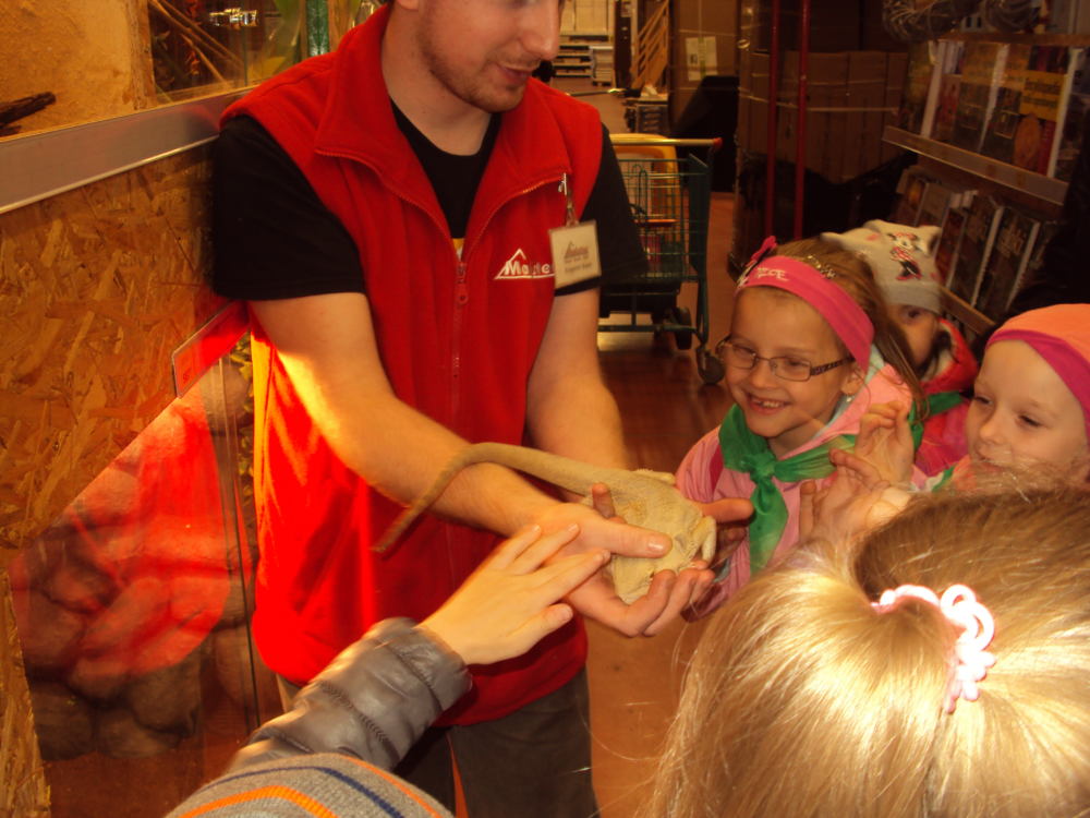 DSC05464-1.jpg