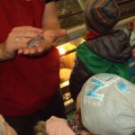 DSC05496 1