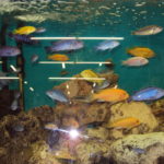 DSC05519 1