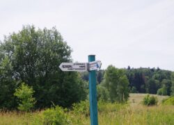 IMGP2335