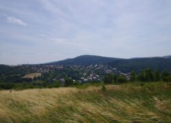 IMGP2340
