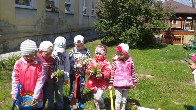 SADZIMY ROŚLINY W OGRODZIE PRZEDSZKOLNYM