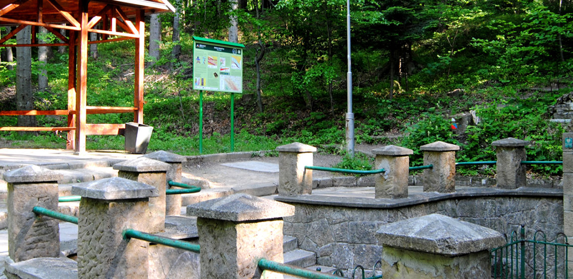slide_5.jpg