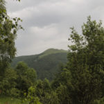 DSF7249 e1467624474549