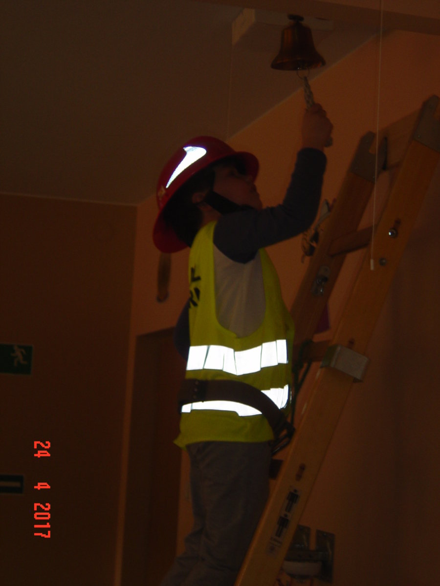 DSC02357.jpg