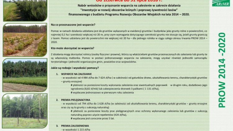 Nabór wniosków na „Inwestycje w rozwój obszarów leśnych i poprawę żywotności lasów” w ramach PROW 2014 – 2020