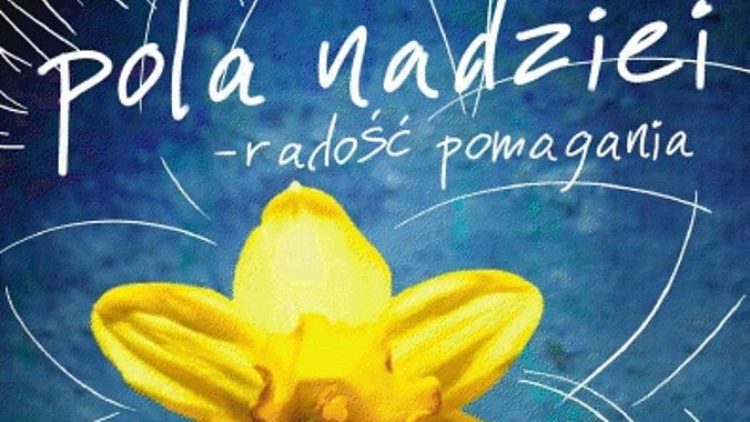 Pola Nadziei w Gminie Iwonicz-Zdrój