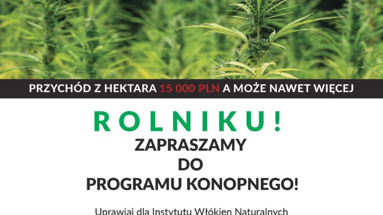 Program Konopny – atrakcyjna oferta dla rolników