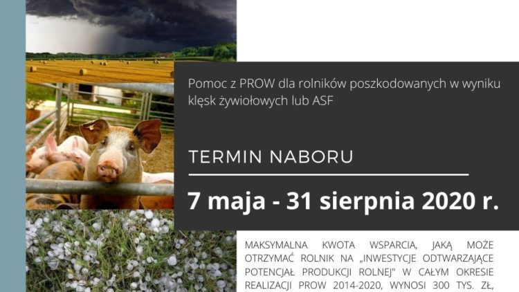 Nabór wniosków dla rolników którzy ponieśli w gospodarstwach straty spowodowane klęskami żywiołowymi, bądź wystąpieniem afrykańskiego pomoru świń (ASF)