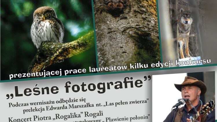Serdecznie zapraszamy na otwarcie wystawy „LAS PEŁEN ZWIERZA”