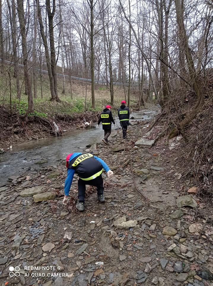 278537176_360246422799219_9183245169809026608_n