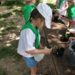 IMG_20220609_115012