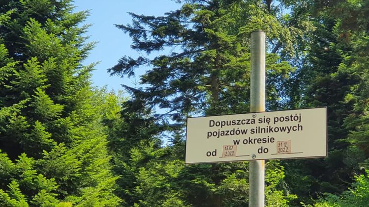 Parking na Alei Leśnej