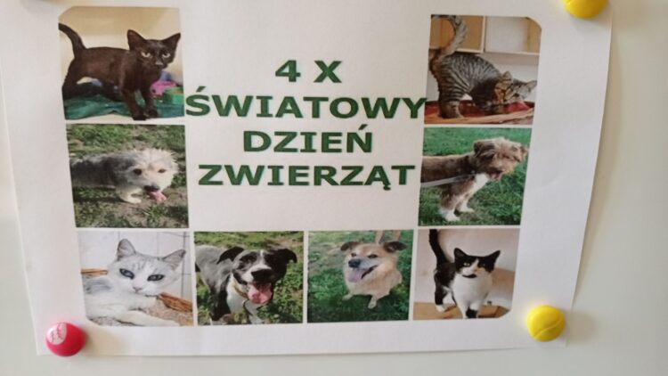 ŚWIATOWY DZIEŃ ZWIERZĄT
