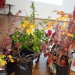 IMG_20221007_121222