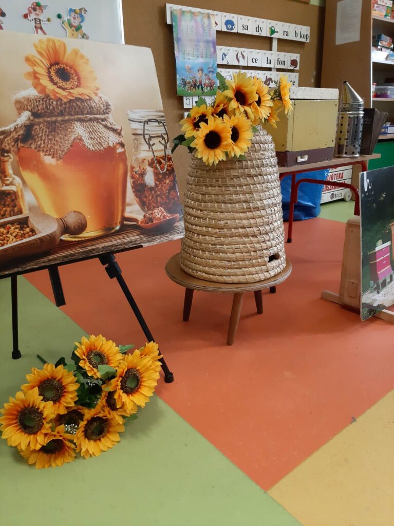 331220025_877612696683923_2076784557652601321_n