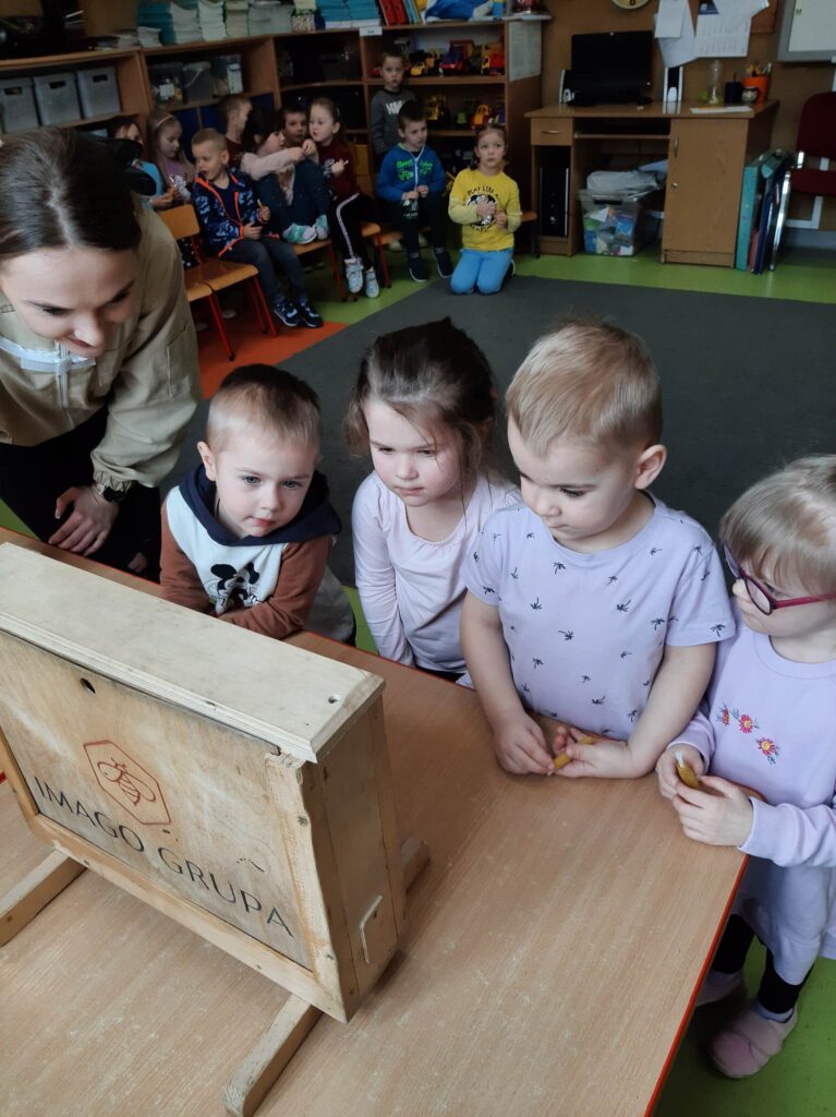 331292486_6225964927423385_5349676735800601846_n