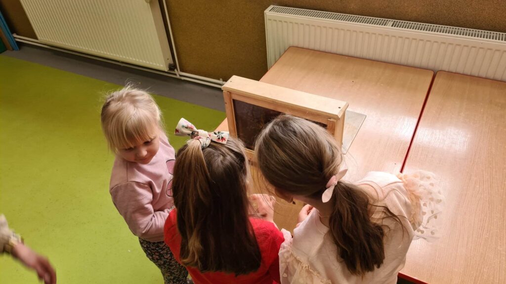 332259549_910307530153766_4745296244372949943_n