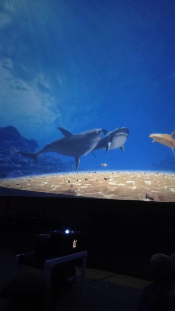 387322255_1478989356220088_6913704604469744646_n