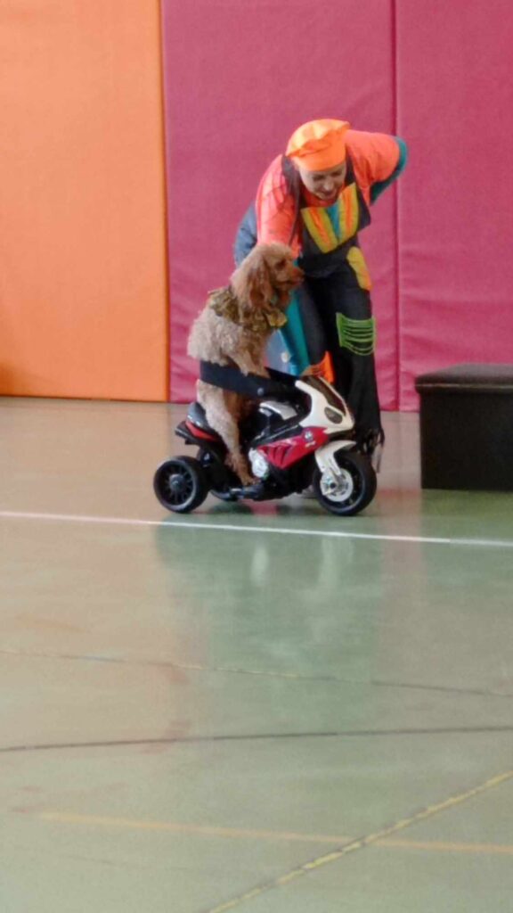 387327585_176743495481412_2288869442314634099_n