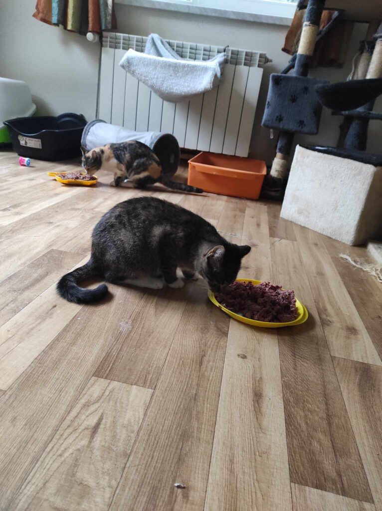 387463707_1031267104577661_6578407085569202158_n