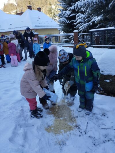 IMG_20240112_101304 IMG_20240112_101304