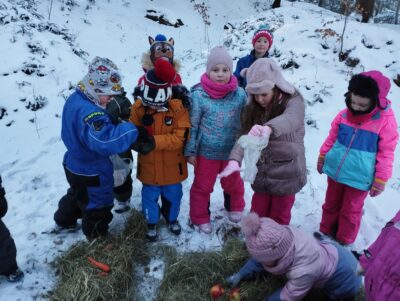 IMG_20240112_102145 IMG_20240112_102145