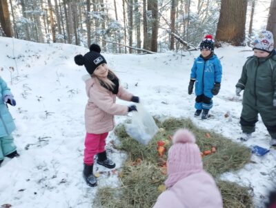 IMG_20240112_102242 IMG_20240112_102242