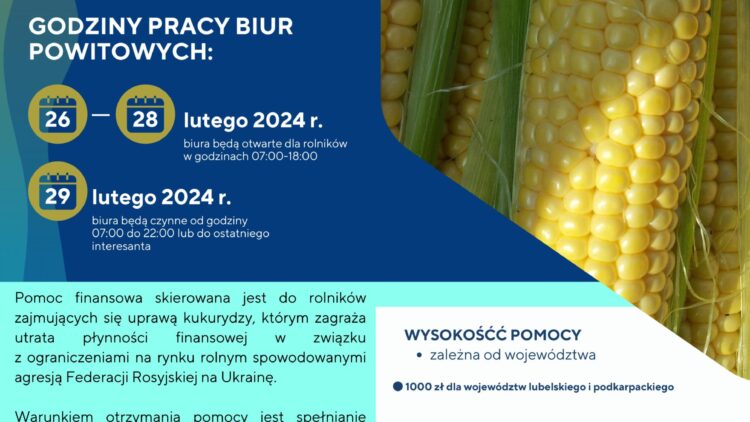 Pomoc dla producentów kukurydzy