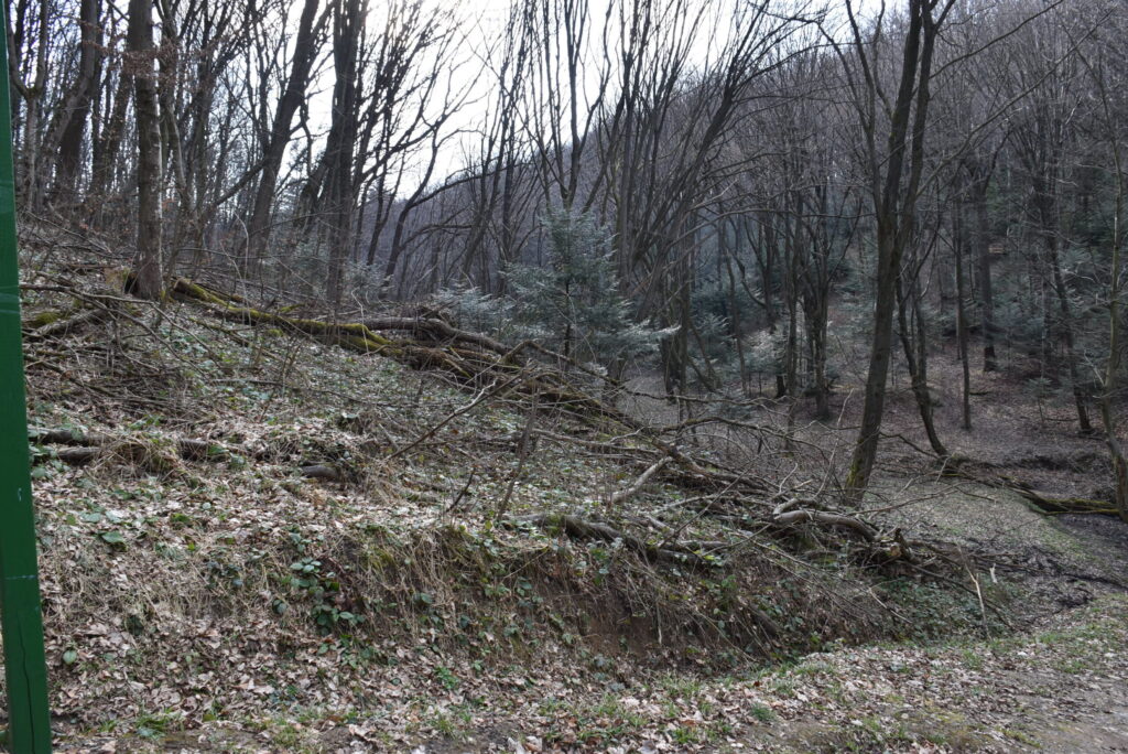 DSC_0471-scaled-1