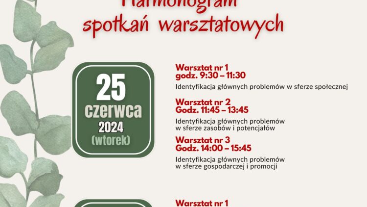 Warsztaty konsultacyjne dotyczące opracowania Strategii Rozwoju Ponadlokalnego Uzdrowiskowych Gmin Rymanów i Iwonicz-Zdrój na lata 2024-2030