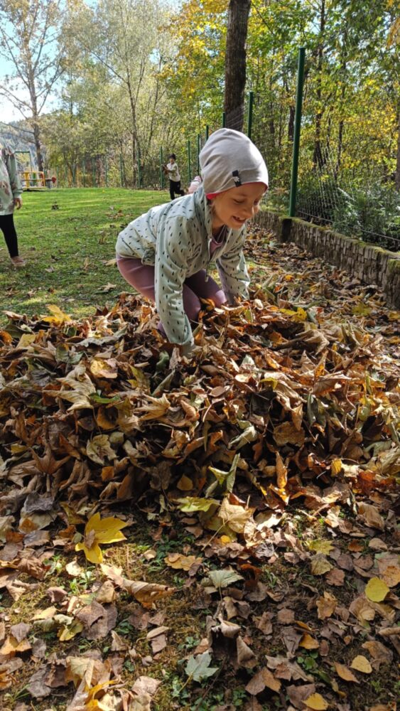 090a3047-7665-4e91-a7c8-b21695ef7228